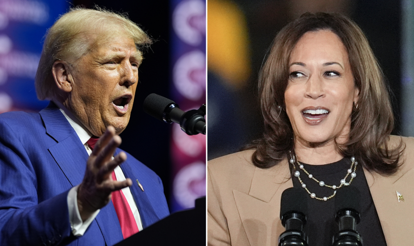 Trump merchandise outsells pro-Harris by striking margin, as Election Day draws near