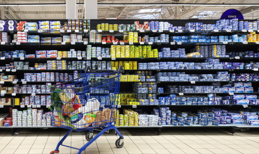 Le thon en boîte vendu en France est contaminé au mercure, cette marque est l'une des pires