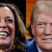 Trump ou Harris ? Ce que disent les sondages à une semaine de la présidentielle américaine