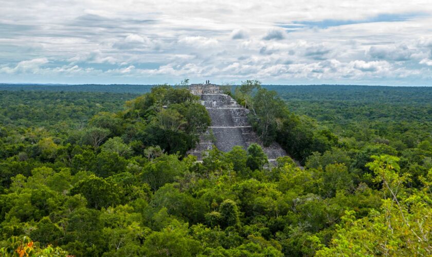 Calakmul pyramids among the trees in Campeche, Mexico stock photo. Pic: iStock