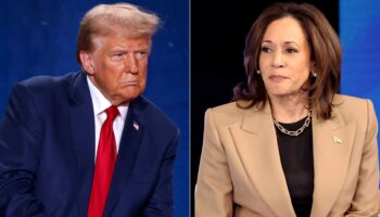 Donald Trump et Kamala Harris mettent le pouvoir d’achat au cœur de la campagne pour la présidentielle