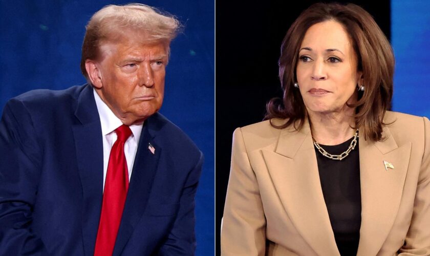 Donald Trump et Kamala Harris mettent le pouvoir d’achat au cœur de la campagne pour la présidentielle