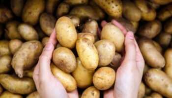 Vos pommes de terre se conserveront six mois si vous les rangez dans cet endroit surprenant