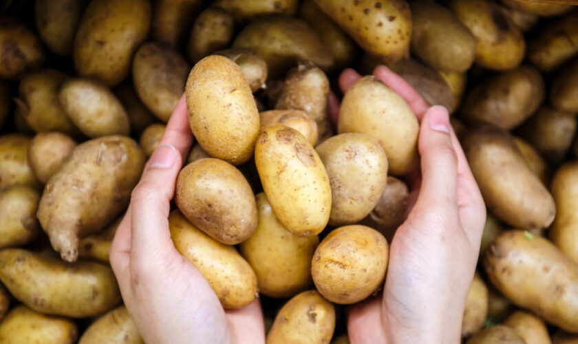 Vos pommes de terre se conserveront six mois si vous les rangez dans cet endroit surprenant