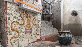 Archaeologists find ‘tiny’ house filled with intricate artwork in ancient city of Pompeii