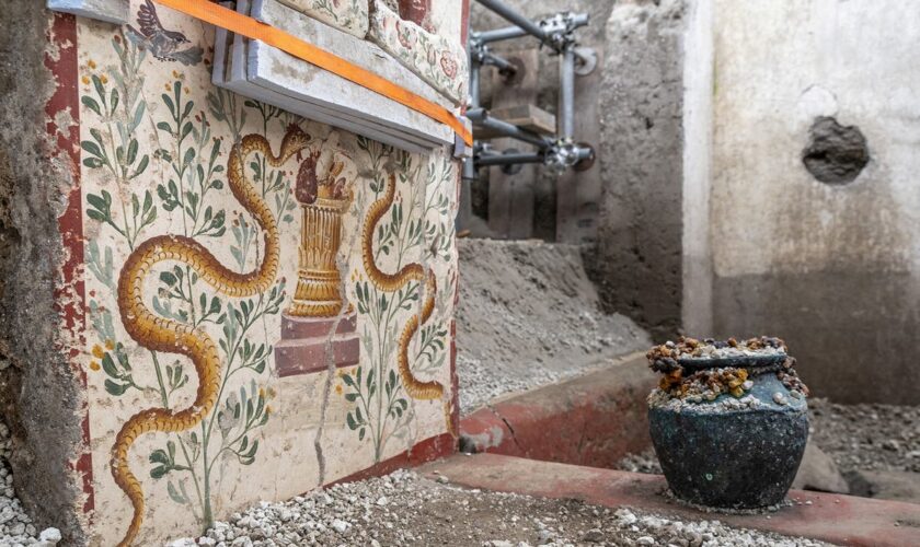 Archaeologists find ‘tiny’ house filled with intricate artwork in ancient city of Pompeii