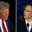 Trump und Harris im Endspurt – „Das war eine politische Katastrophe“