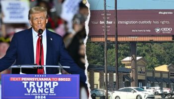 'Coming down': Trump vows to dismantle billboards pushing rights for illegal immigrants if he wins