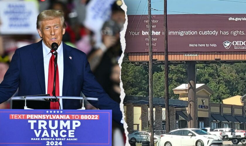 'Coming down': Trump vows to dismantle billboards pushing rights for illegal immigrants if he wins