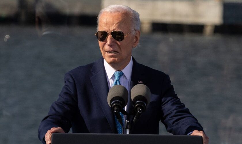 Biden's 'garbage' remark being used by down-ballot GOP candidates in closing voter pitch