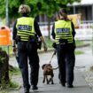 Berlin: Großeinsatz der Polizei wegen Sprengstoff an Berliner S-Bahnhof