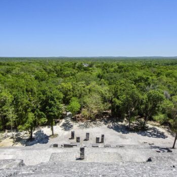 Archäologie: Maya-Siedlung im mexikanischen Dschungel entdeckt