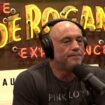 Joe Rogan explains the details about Harris missed 'opportunity' to appear on his podcast