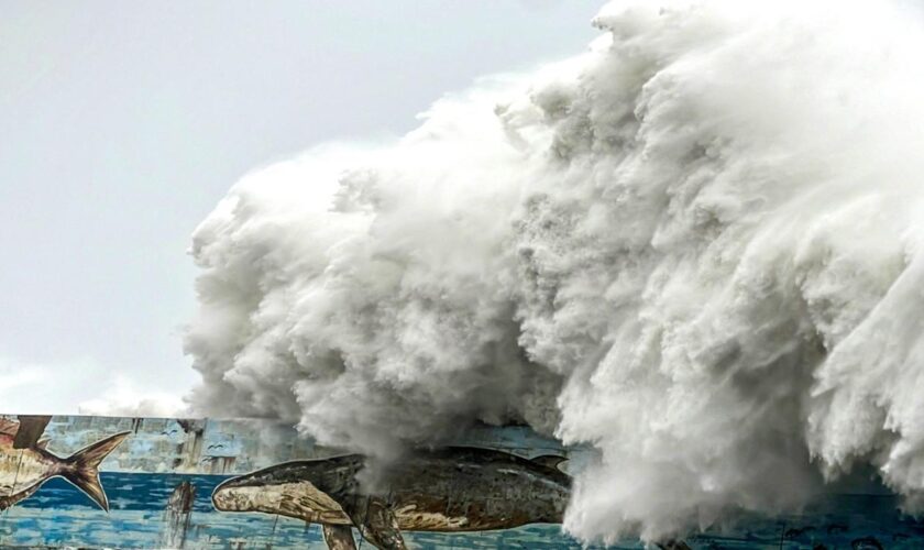 Unwetter: Taifun Kong-rey trifft auf Taiwan und sorgt für Verwüstung