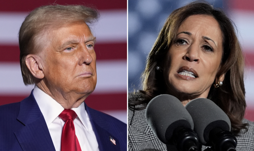 Trump, Harris nearly tied in Michigan as Election Day nears, poll finds