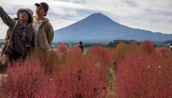 Mais où est donc passé le manteau de neige du mont Fuji ?