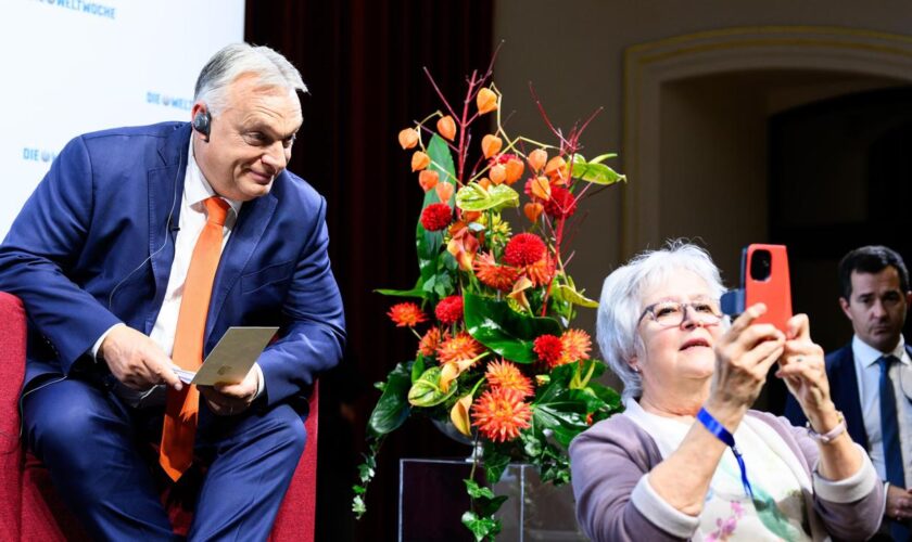 Viktor Orbán in Wien: Halloween mit Gerhard Schröder