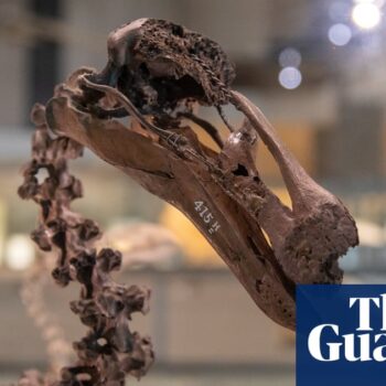 AI gives voice to dead animals in Cambridge exhibition