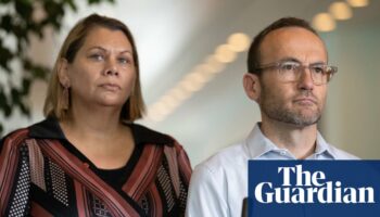 Adam Bandt defends Greens response to bullying allegations against WA senator