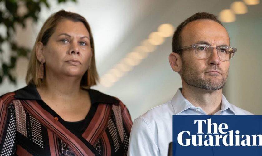 Adam Bandt defends Greens response to bullying allegations against WA senator