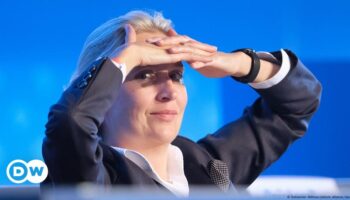 AfD-Chefin Alice Weidel: rechts, extrem, unkonventionell