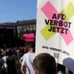 AfD-Verbotsverfahren? Welche Chancen der Antrag hat