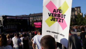 AfD-Verbotsverfahren? Welche Chancen der Antrag hat