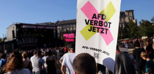 AfD-Verbotsverfahren? Welche Chancen der Antrag hat