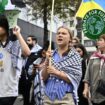 Allemagne : rassemblement d’étudiants propalestinien dispersé en raison de la venue de Greta Thunberg