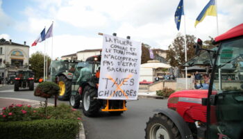 Après la surtaxe des voitures électriques chinoises, le cognac, le lait et le porc dans le viseur de Pékin