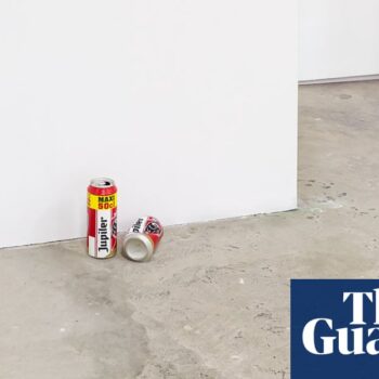 Beer can artwork accidentally thrown in bin by staff member at Dutch museum