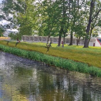 Buscan la cabeza de un hombre en el río Piles de Gijón