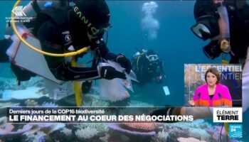 COP16: Le financement au cœur des négociations