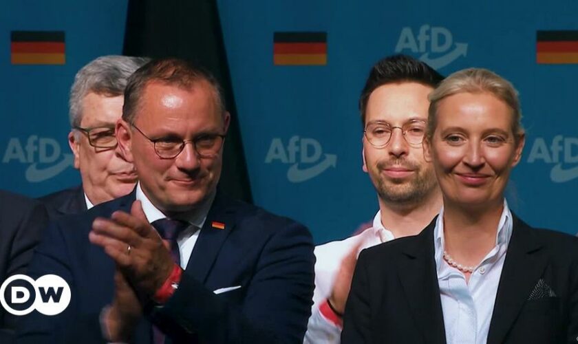 Calls grow in Germany to ban far-right AfD