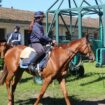 Chantilly manque de main-d’œuvre pour ses chevaux de course : « Les besoins sont de plus en plus grands »