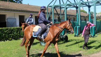 Chantilly manque de main-d’œuvre pour ses chevaux de course : « Les besoins sont de plus en plus grands »