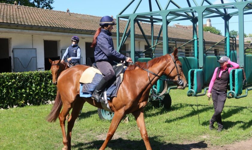 Chantilly manque de main-d’œuvre pour ses chevaux de course : « Les besoins sont de plus en plus grands »