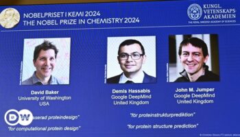 Chemie-Nobelpreis teilen sich drei Protein-Wissenschaftler