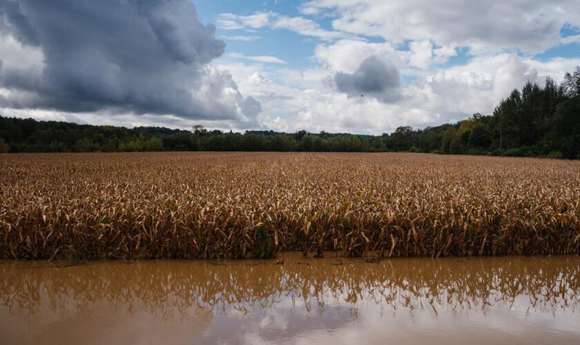 Comment Paris veut créer des «greniers» de nourriture pour faire face aux catastrophes du futur