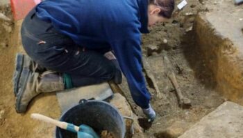 Corbeil-Essonnes : un cimetière vieux de plus d’un millénaire découvert dans la cave d’une maison