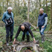 Dans la Meuse, des voleurs ont pillé et massacré leur forêt : « Un couteau dans le cœur »