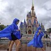 Disney World, Universal Orlando and SeaWorld will all...