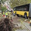 Dresden: 30 Verletzte bei Busunfall in Dresden