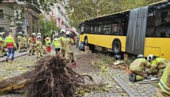 Dresden: 30 Verletzte bei Busunfall in Dresden