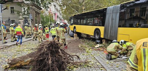 Dresden: 30 Verletzte bei Busunfall in Dresden