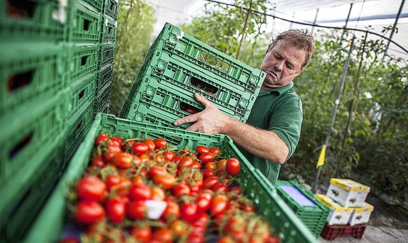 El campo desconfía del Gobierno: "Nos tememos que no va a exigir el cumplimiento de la sentencia contra los productos marroquíes"