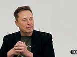 Elon Musk names the rich Dems 'who are terrified' of Epstein and Diddy files becoming public