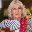 Fans for the memories! King Charles and Queen Camilla enjoy fond and colourful - if rain-sodden - farewell from Samoa, wreathed in garlands and knocking back special plant brew