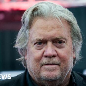 Former Trump aide Steve Bannon released from jail