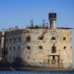 Fort Boyard : Les tigres finalement remplacés par Mathilde Panot